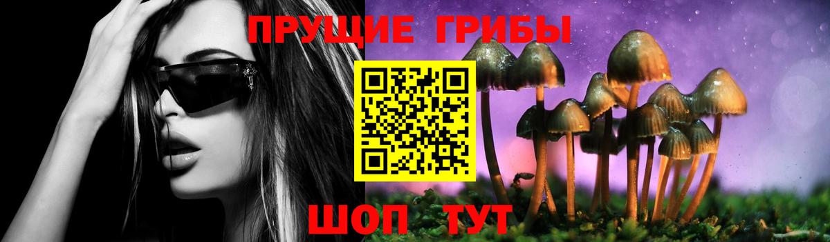 Галлюциногенные грибы MAGIC MUSHROOMS Сатка